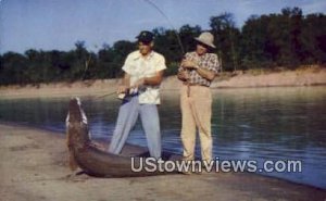 Garfish - White River, Arkansas AR  