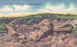 North Dakota North Dakota Badlands Iron Log In Cedur Canyon