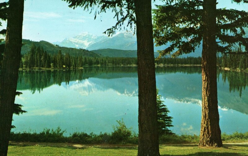 VINTAGE POSTCARD LAKE BEAUVERT THROUGH DOUGLAS FIRS FROM JASPER PARK LODGE 1973