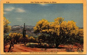 Palo Verdes Sahuaro Bloom Linen Postcard UNP VTG Curteich Unused Vintage 