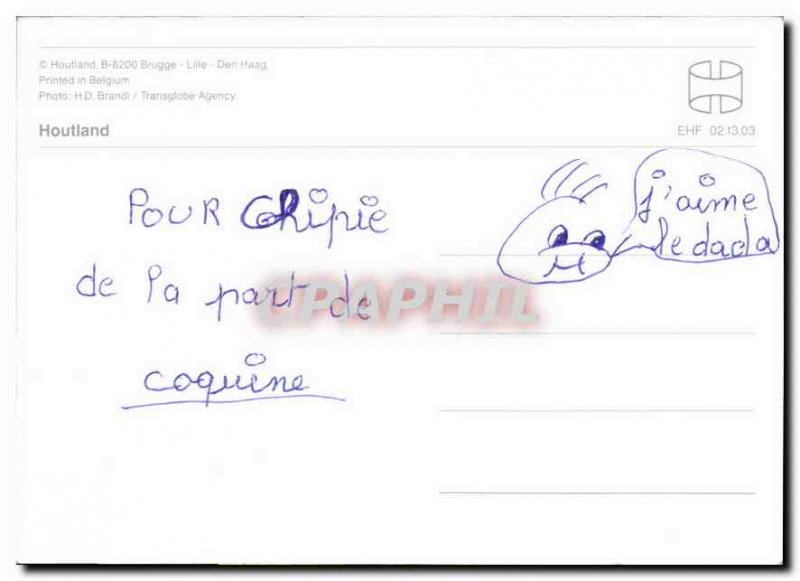 Postcard Modern Houtland Horses