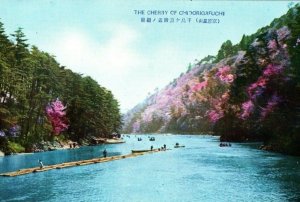 1930s River Boats Cherry Trees Chidorigafuchi Tokyo Japan Vintage Postcard F62