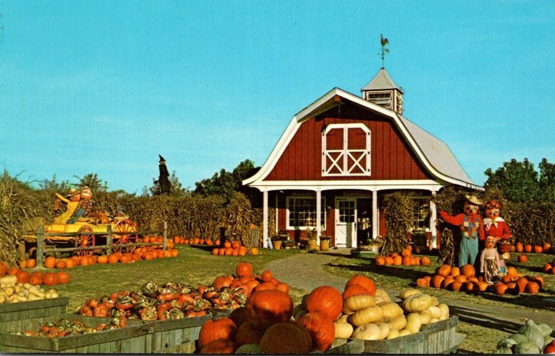 New Jersey Woodcliff Lake Van Riper's Farms Pumpkin Display