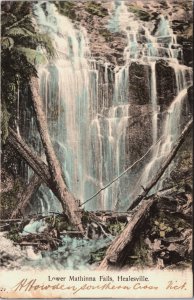 Australia Lower Mathinna Falls Healesville Vintage Postcard C126