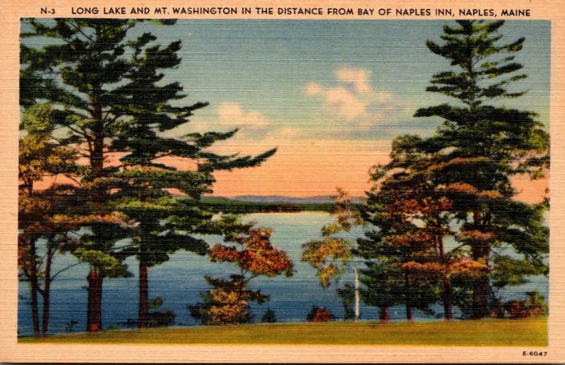 Maine Naples Long Lake and Mt Washington From Bay Of Naples Inn 1947