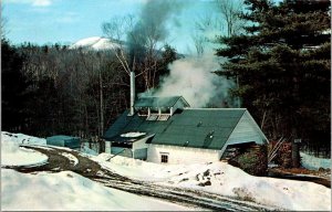 Vermont - Maple Sugaring - [VT-116]