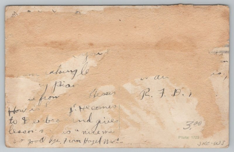 Hotel & ResortAntigo WisconsinHotel ButterfieldVintage Postcard