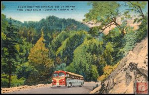 Smoky Mountain Trailways Bus on Hwy Thru Great Smoky Mountains National Park