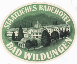 Germany Bad Wildungen Staatliches Badehotel Vintage Luggage Label sk2837