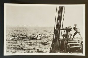 Mint Greenland Polar Whaling Man on Boat Shooting Whale Real Picture Postcard
