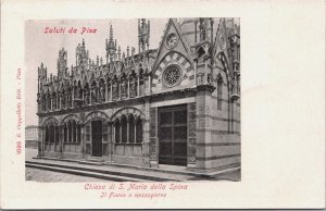 Italy Saluti da Pisa Chiesa di Santa Maria Della Spina Vintage Postcard 04.14