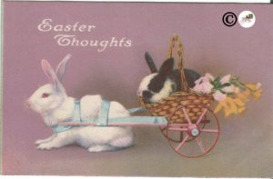 Vintage Postcard Real-life White & Black/White Easter Bunny in Basket Wagon