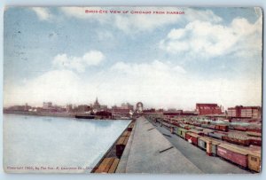 Chicago Illinois Postcard Birds Eye View Harbor Exterior c1910 Vintage Antique