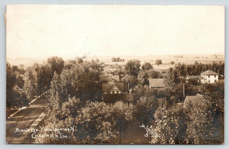 Chadwick Illinois~Birdseye View Down Dirt Road~Homes~M-L Photo~1913 RPPC