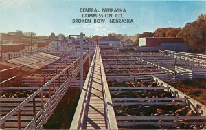 Nebraska Broken Bow Largest Life Stock auction Cattle Central Postcard 22-96