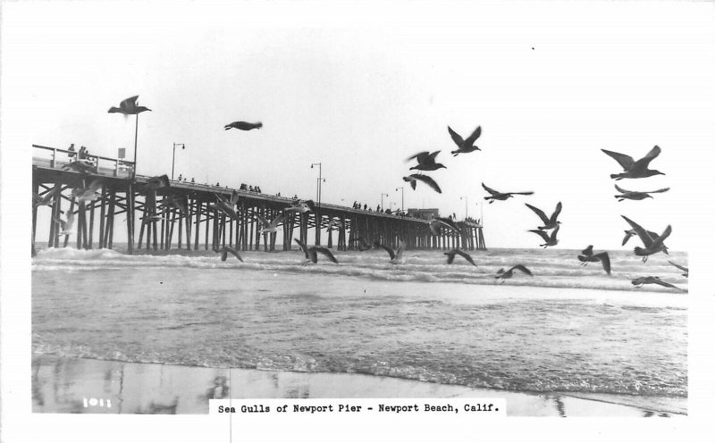 Postcard RPPC Newport Beach California Sea Gulls Newport Pier 24-5554