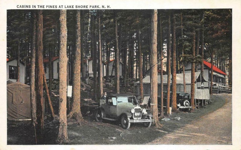 CABINS IN THE PINES AT LAKE SHORE PARK NEW HAMPSHIRE CARS LICENSE PLATE POSTCARD
