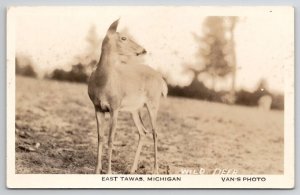 RPPC East Tawas MI Michigan Wild Deer Van's Photo Postcard U25