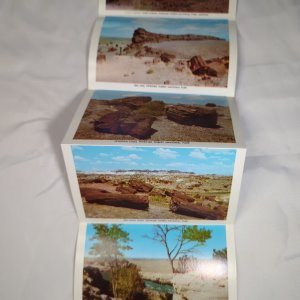 Petrified Forest National Park Arizona Vintage Souvenir Postcard Folder