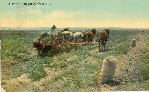 Postcard 1913 View of A Potato Digger in Operation , NW-US.    Z9