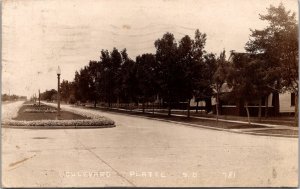 RPPC View of the Boulevard, Platte SD c1930 Vintage Postcard V78