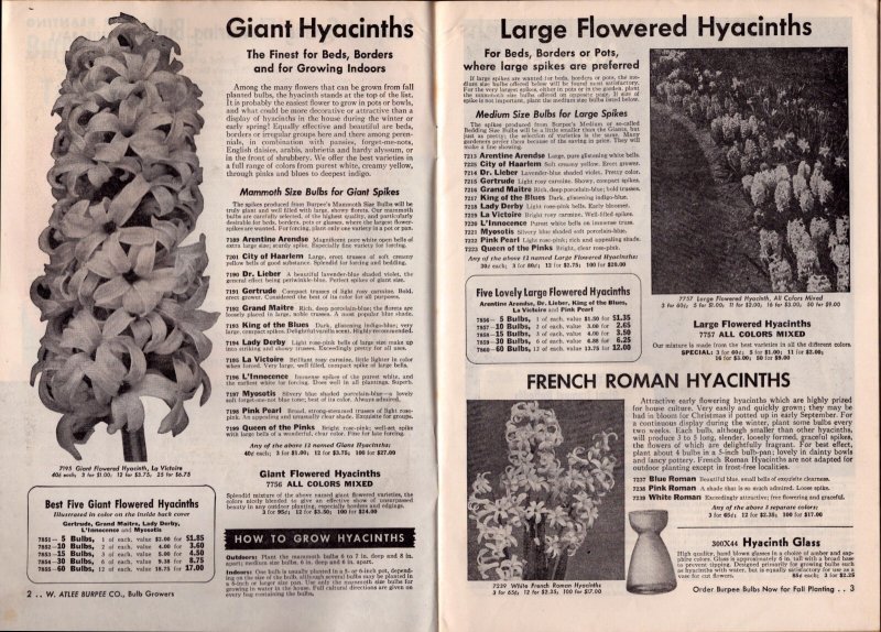1953 Burpee Bulbs Fall Catalog  Plants Flowers  9 x 7