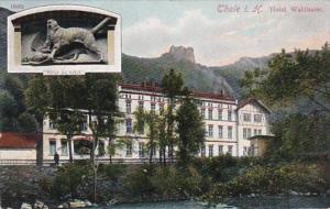 Germany Thale im Hartz Hotel Waldkater 1906