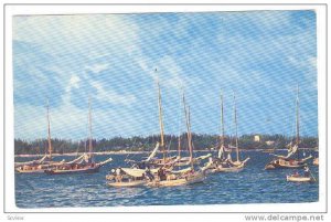 Fishing Smacks in Nassau Harbor, Paradise Beach, Nassau, Bahamas, 40-60s