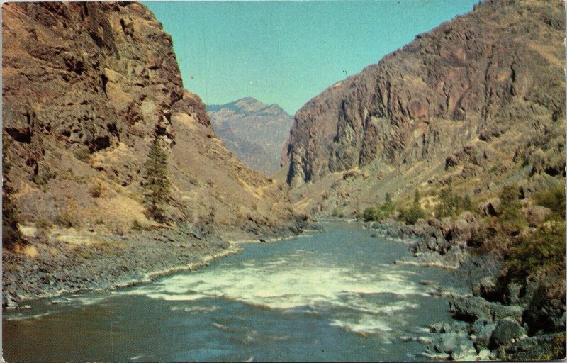 Snake River Oregon Idaho Hells Canyon Postcard VTG UNP Koppel Vintage Unused 