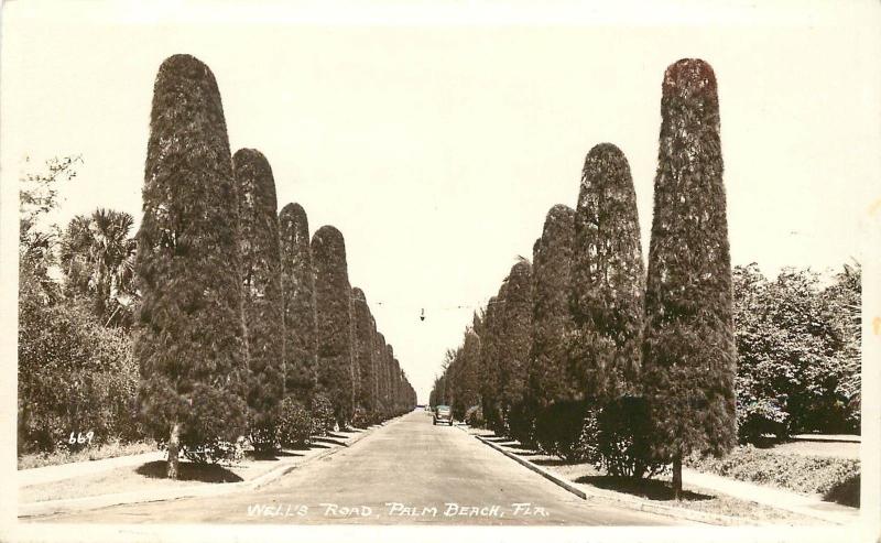 1930s Real Photo Postcard; Cypress? Tree Lined Street Well's Road, Palm Beach FL