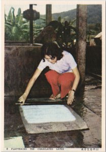PC MALAYSIA, FLATTENING THE COAGULATED LATEX, Modern Postcard (b44380)