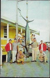 US Dare County, N.C.  That's a lot of fish sticks.  Mint.