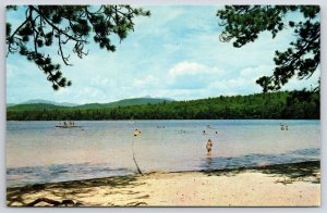 White Lake State Park Tamworth New Hampshire NH Bathing & Vacation Spot Postcard