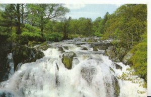 Wales Postcard - Swallow Falls - Betws-Y-Coed - Caernarvonshire - Ref 20211A