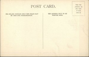 St. Fillans Scotland c1910 Postcard