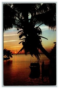 Vintage 1960's Postcard Panoramic View Boats on the Lake Tropical Florida