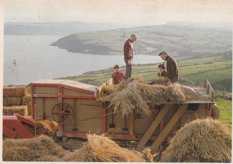 Threshing In Ireland Postcard