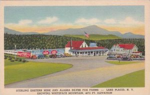 New York Lake Placid Sterling Eastern Mink And Alaska Silver Fox Farms