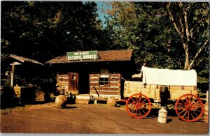 Log Cabin Entrance, Natural Bridge or Arkansas Clinton AR Vintage Postcard J33