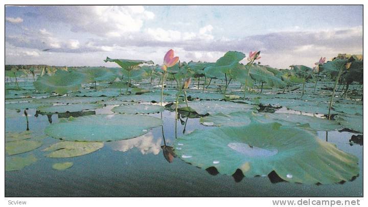 Kakadu National Park, Australia, 1940-1960s