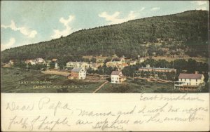 Windham NY Catskills 1904 Used Postcard