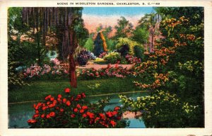 Scene in Middleton Gardens Charleston SC Postcard PC138