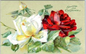 GREETINGS from CALIFORNIA    BEAUTIFUL  Embossed  ROSES    c1910s    Postcard