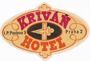 Czechoslovakia Praha Krivan Hotel Vintage Luggage Label sk3267