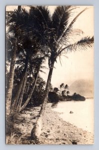 RPPC PALM TREES BEACH OAHU HAWAII REAL PHOTO POSTCARD (c.1920s)