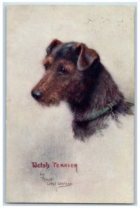 Black Ness Sussex Postcard Welsh Terrier Dog By 1916 Oilette Tuck Dogs