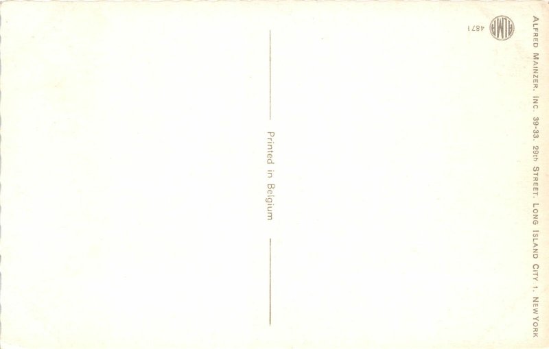 F86/ Alfred Mainzer Signed Postcard Dressed Cats Comic c50s Pool Hose 18