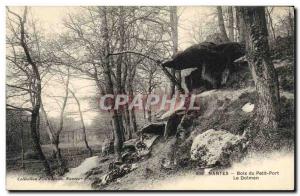 Old Postcard Dolmen Menhir Bois Nantes Petit Port