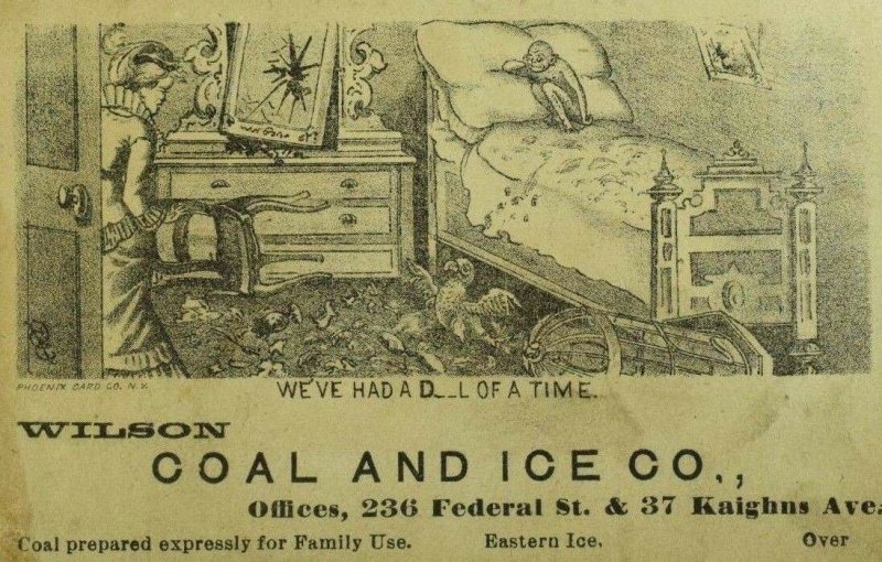 1879 Wilson Coal & Ice Co. Business Directory On Back Monkey & Parrot Mess P98