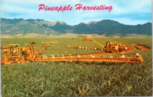 Postcard HI - Pineapple Harvesting - Libby's fields Oahu